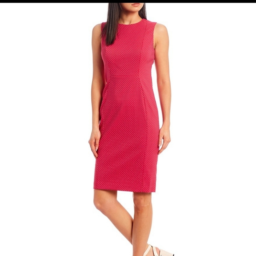 Calvin Klein Pink Polka Dot Princess Seam Dress
